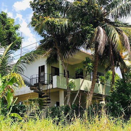 Rice Field View Home Stay Tangalle Kültér fotó