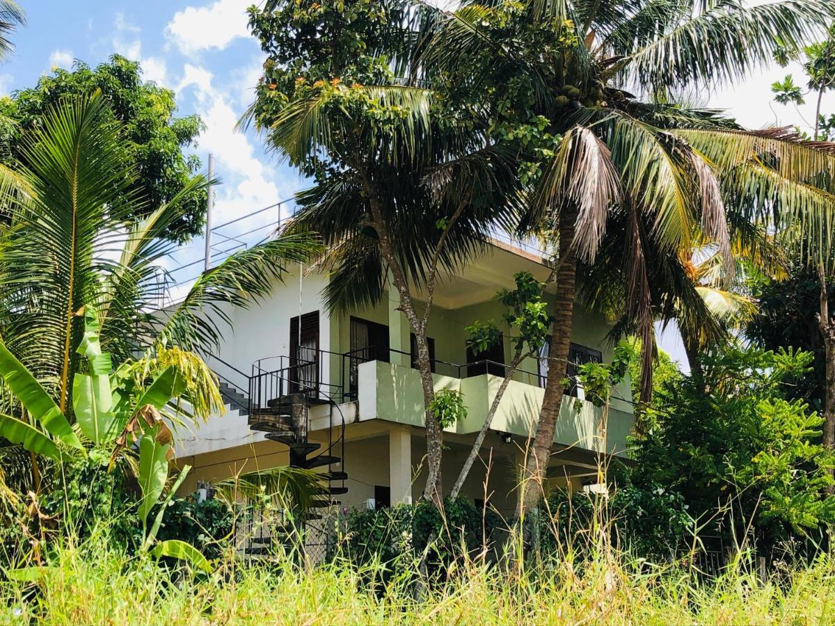 Rice Field View Home Stay Tangalle Kültér fotó