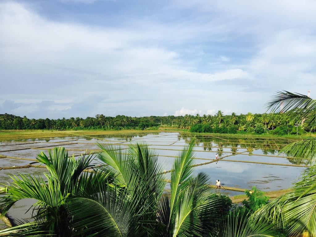 Rice Field View Home Stay Tangalle Szoba fotó