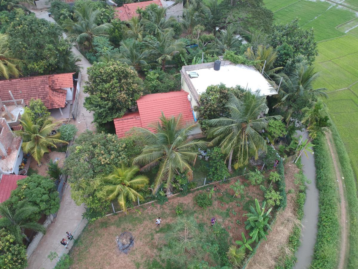 Rice Field View Home Stay Tangalle Kültér fotó