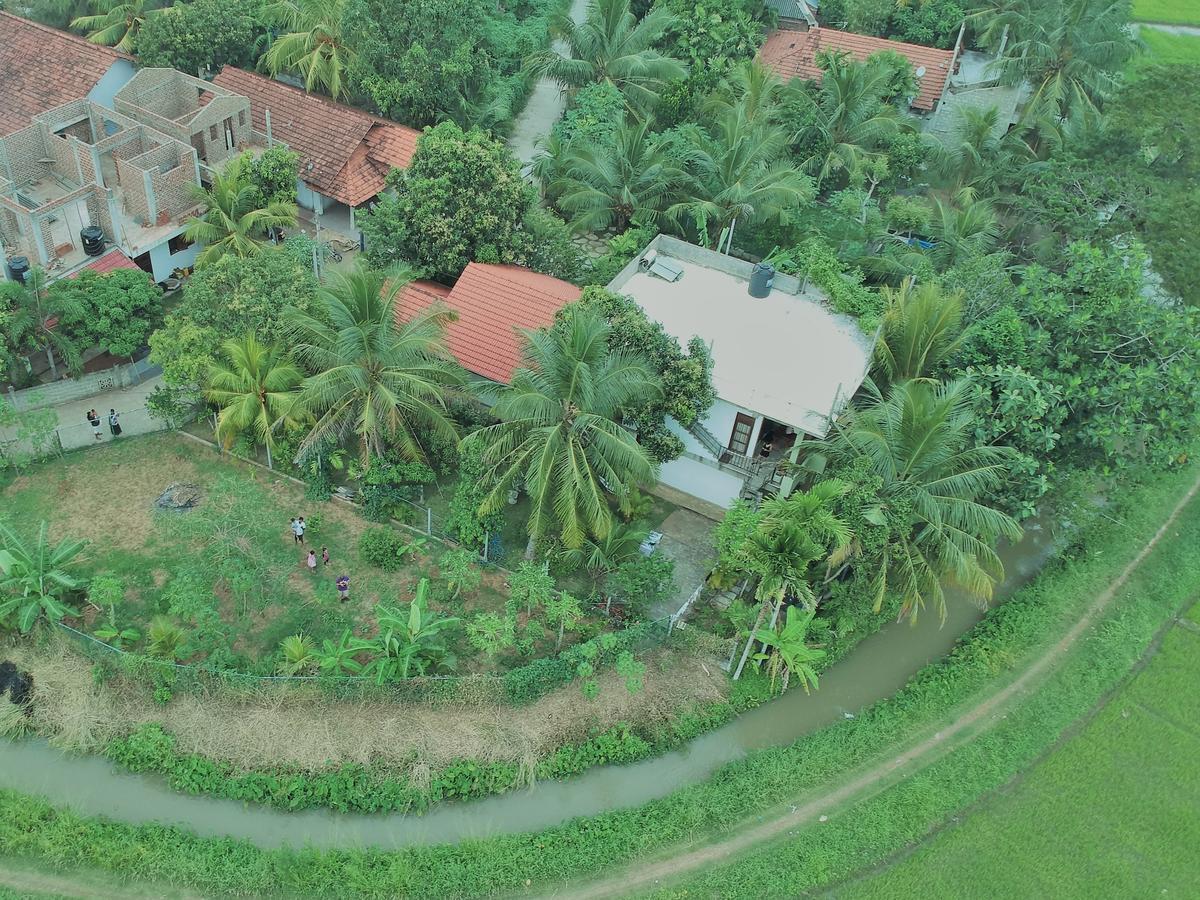 Rice Field View Home Stay Tangalle Kültér fotó