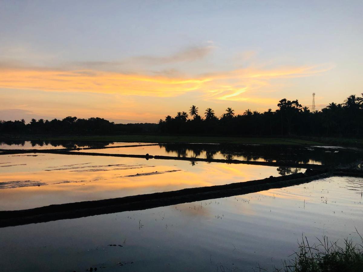 Rice Field View Home Stay Tangalle Kültér fotó